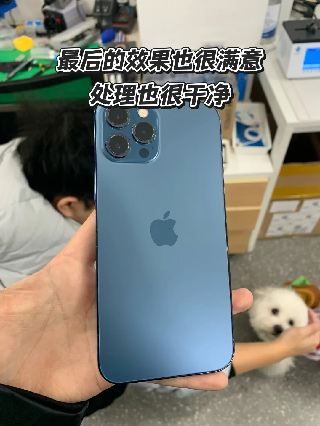 手机后玻璃太脆弱了怎么办 售后贵得吓人?