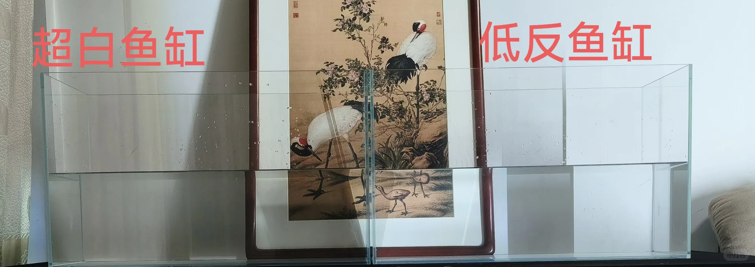 低反射玻璃鱼缸，它来了