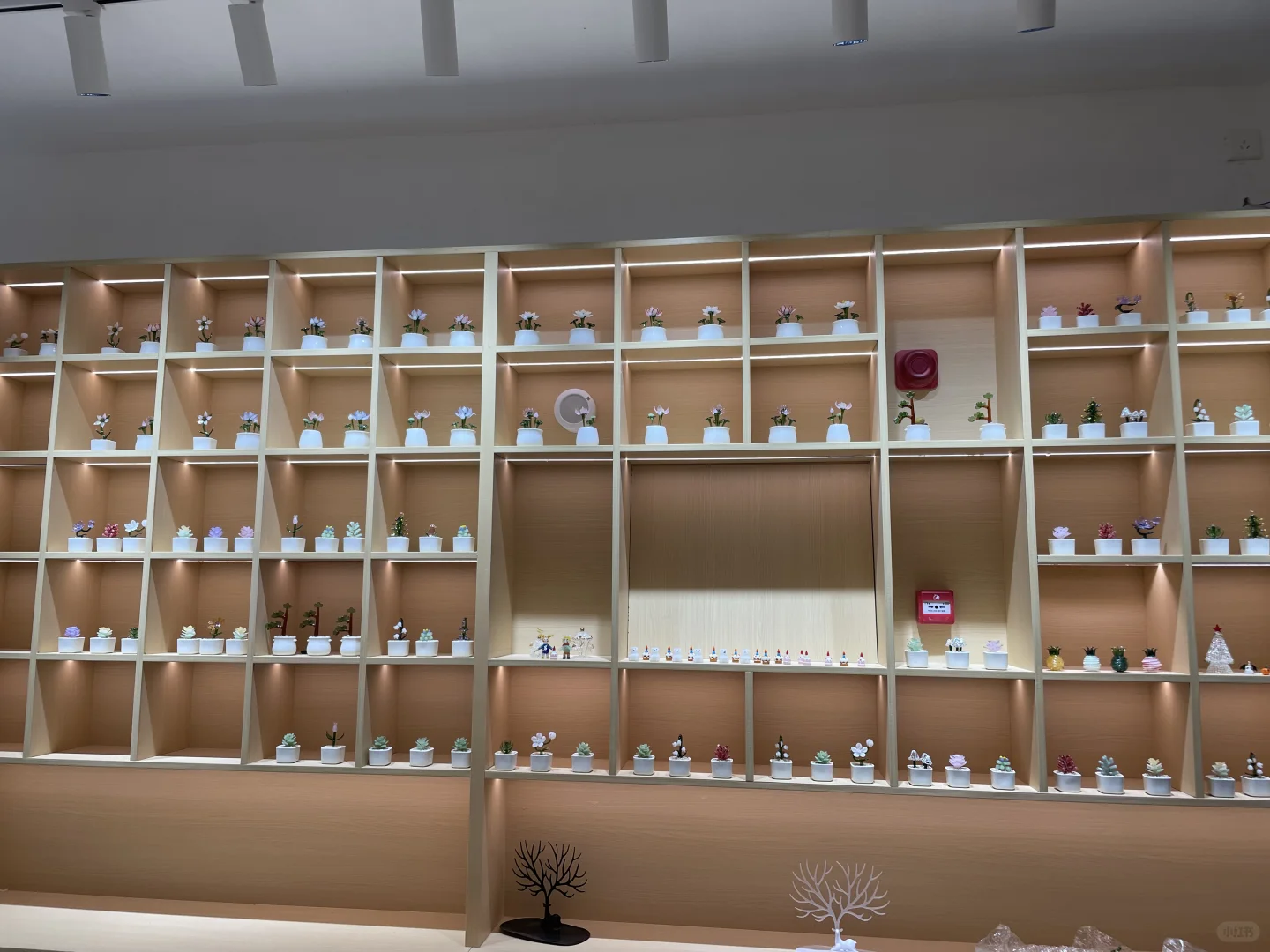 景德镇宝藏的玻璃小屋