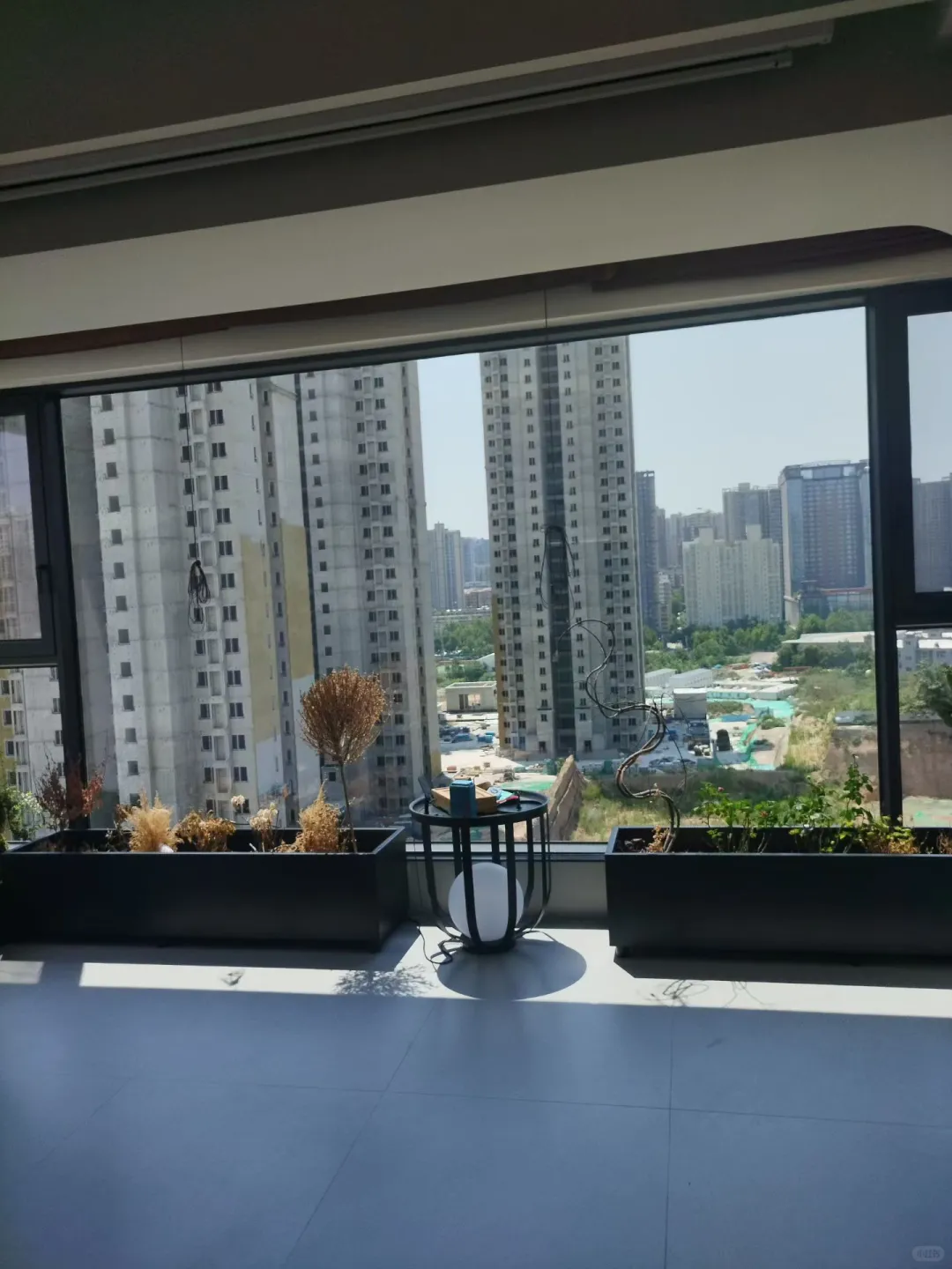 西安宝子！元旦擦玻璃羊毛速薅?