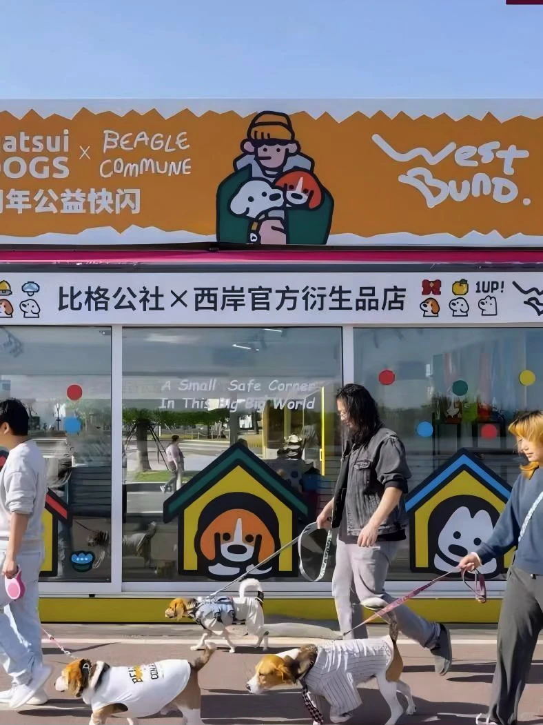 超绝年度最佳搬砖人团建宝藏地!毛绒展!