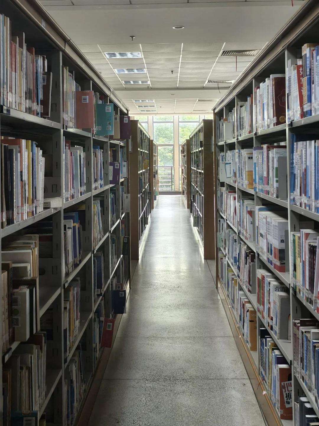 漫卷·象牙塔：华中农业大学 | 图书馆