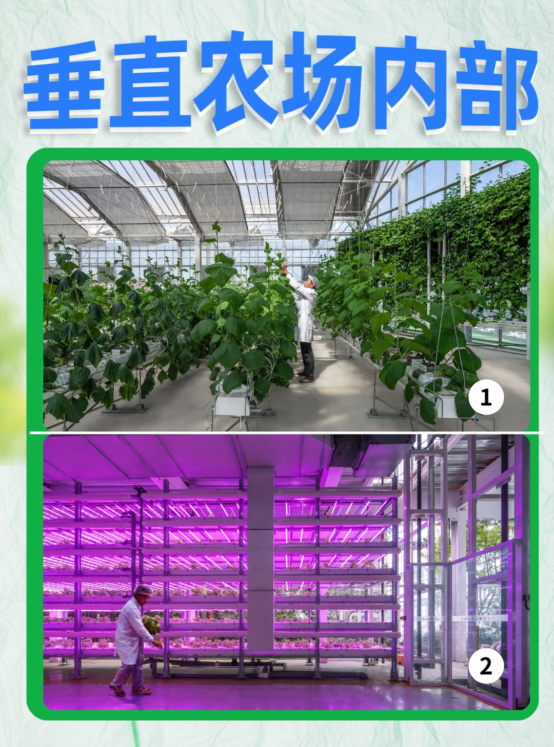 北京垂直农场 | 城市中亮眼的农业创新中心