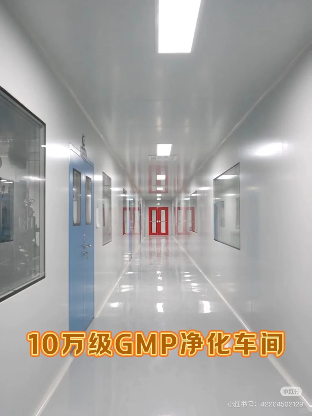 ?软糖代工OEM/ODM多样化定制！