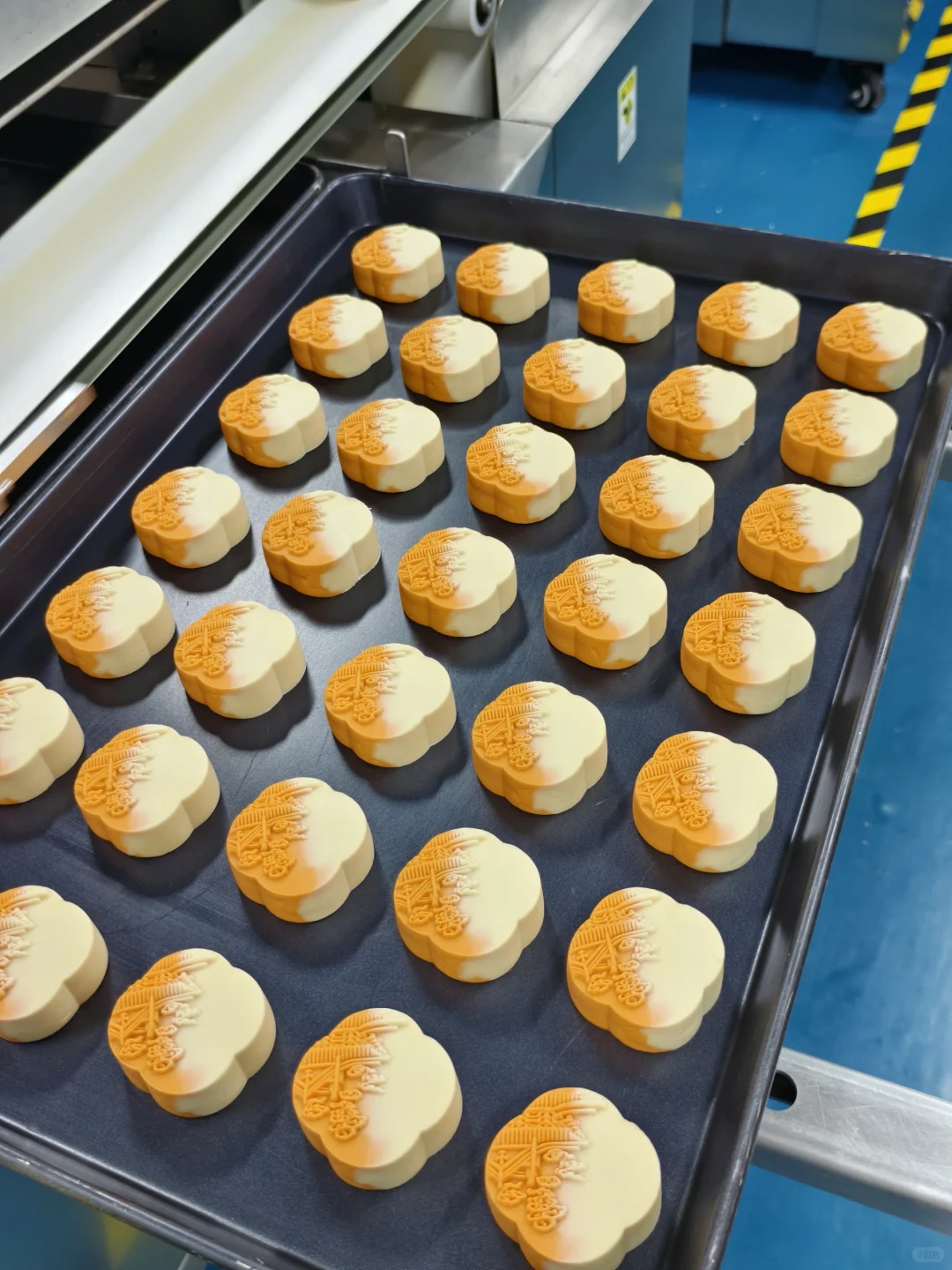 月饼工厂溯源之行