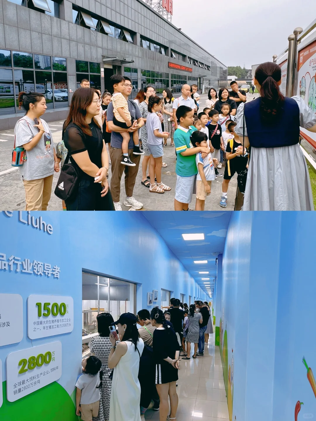 感受科技的力量｜参观美好食品工厂