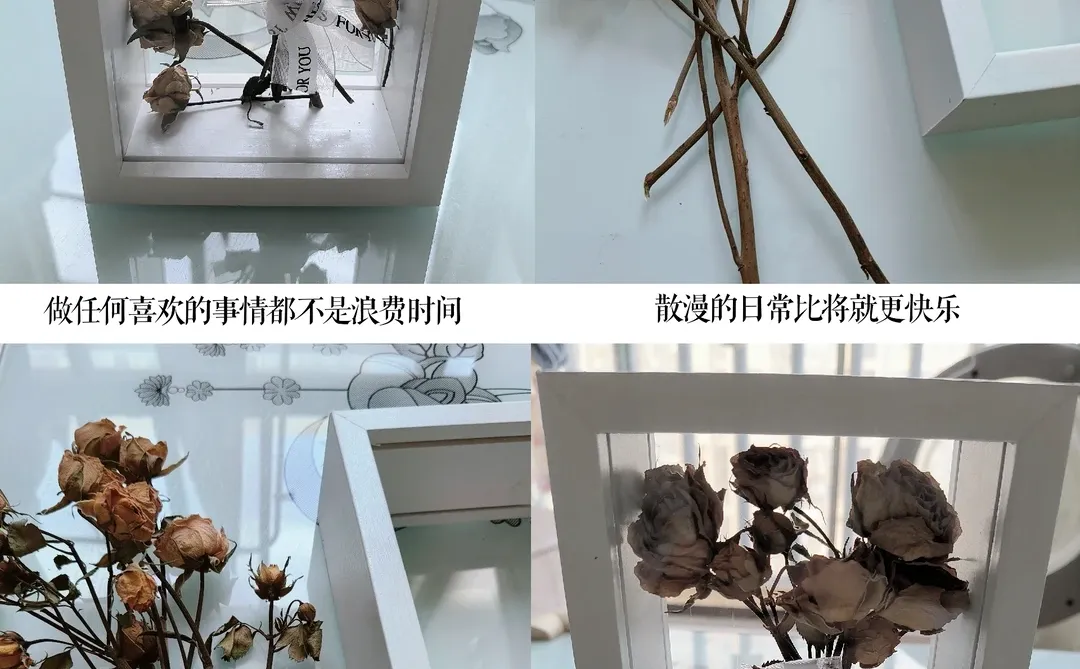 连续一个月没休息,投了15个政府采购标。