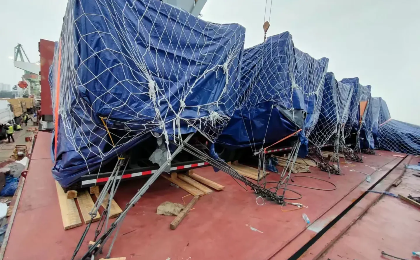 南美西散杂船年底收货