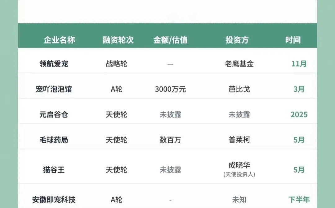 今年宠物圈33起投融资,都到哪里了?