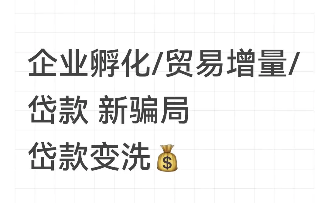 企业孵化/贸易增量/ 岱款新骗局 岱款变洗?