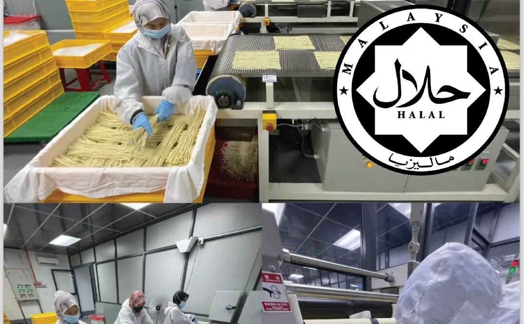 马来西亚 ?? - 面条食品工厂?