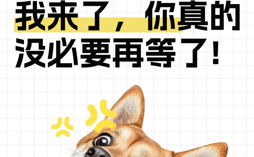 挖到宝了！宠物零食行业优质源头工厂 ！