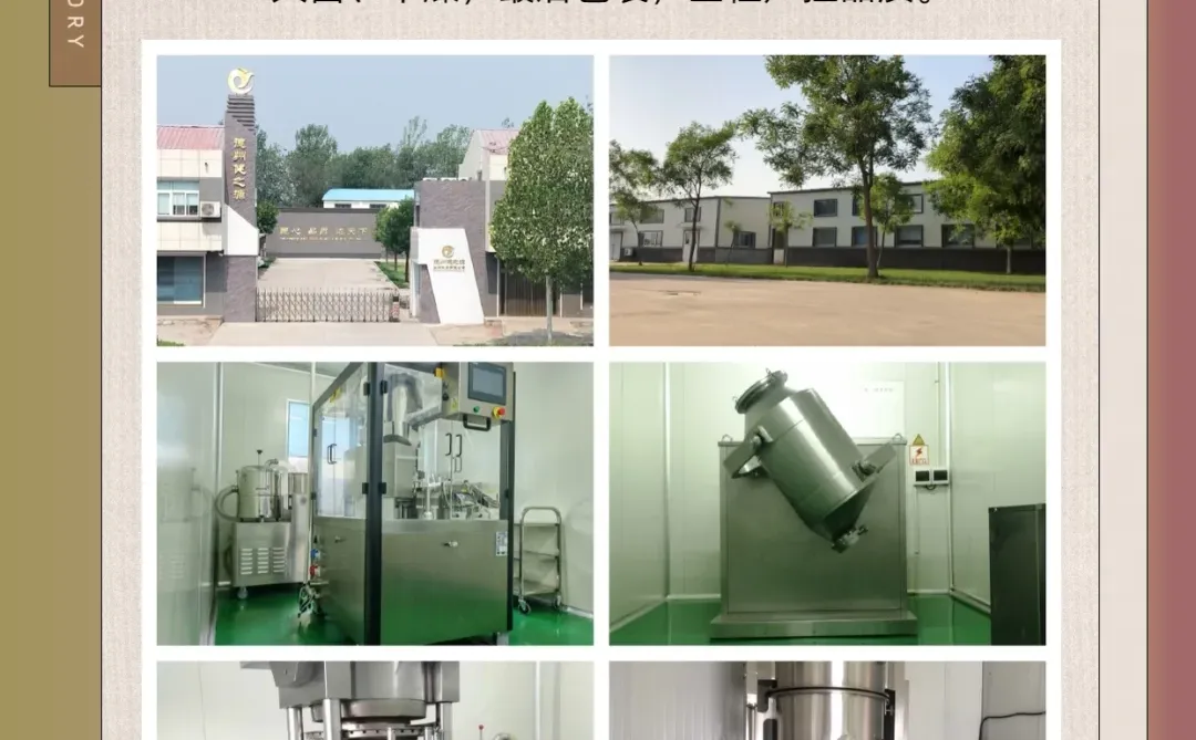 特殊膳食代加工厂家代加工生产工艺