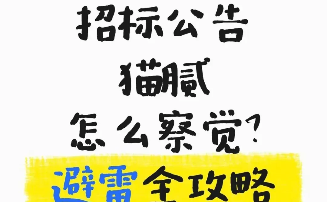 招标公告猫腻怎么察觉?避雷全攻略