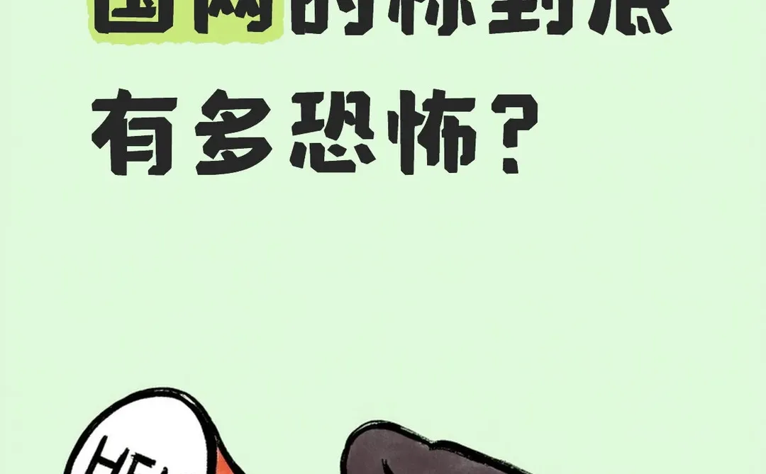 国网的标到底有多恐怖？