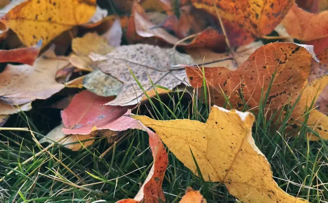 杭州俊怡建材瓷砖批发仓库