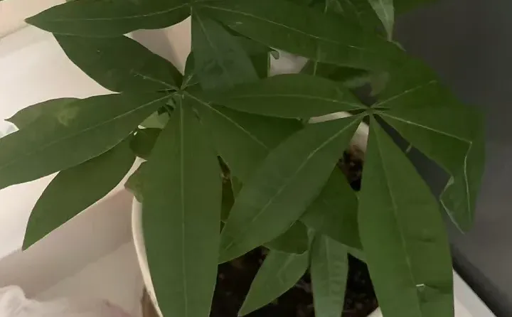 威海装修基础材料预约