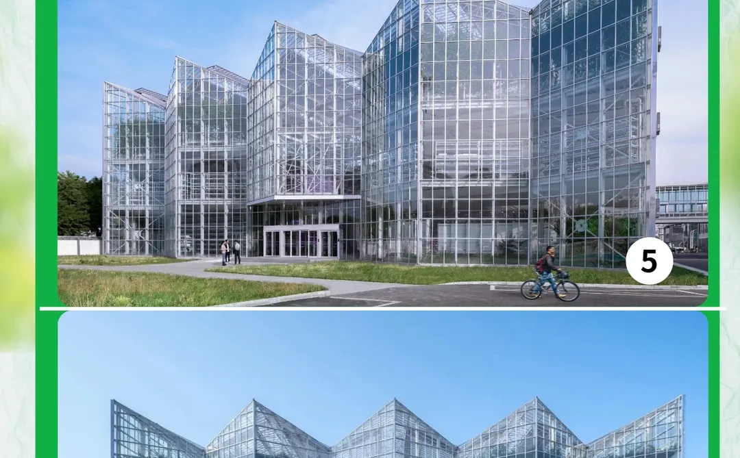 北京垂直农场 | 城市中亮眼的农业创新中心