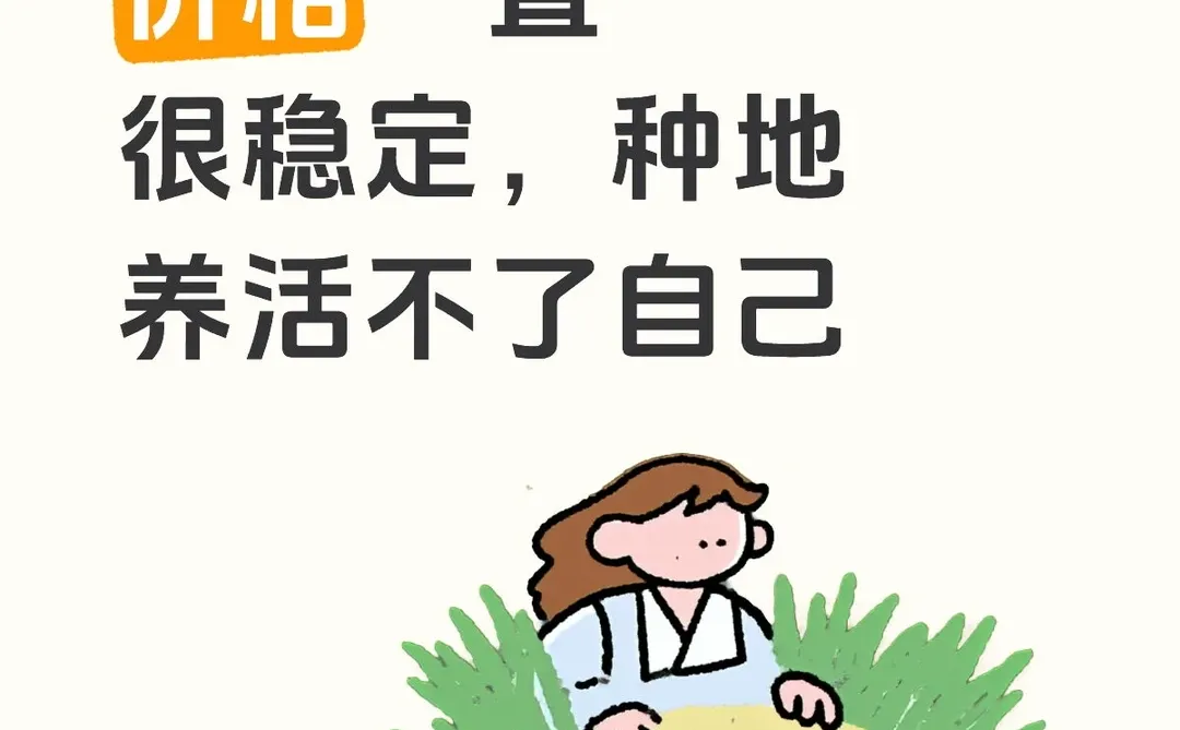 为什么粮食价格十几年了一直很稳定