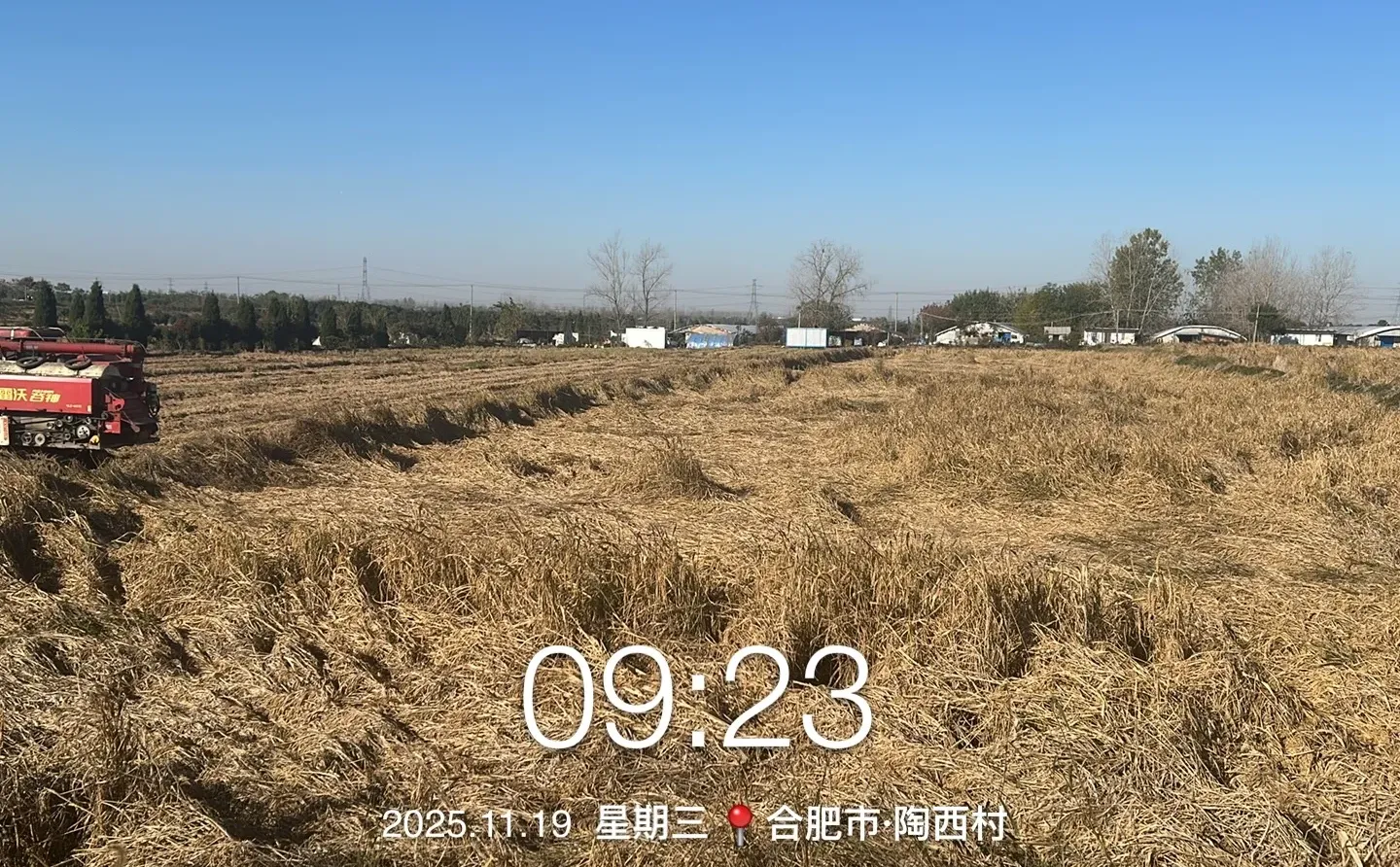 聊聊长丰收粮大户