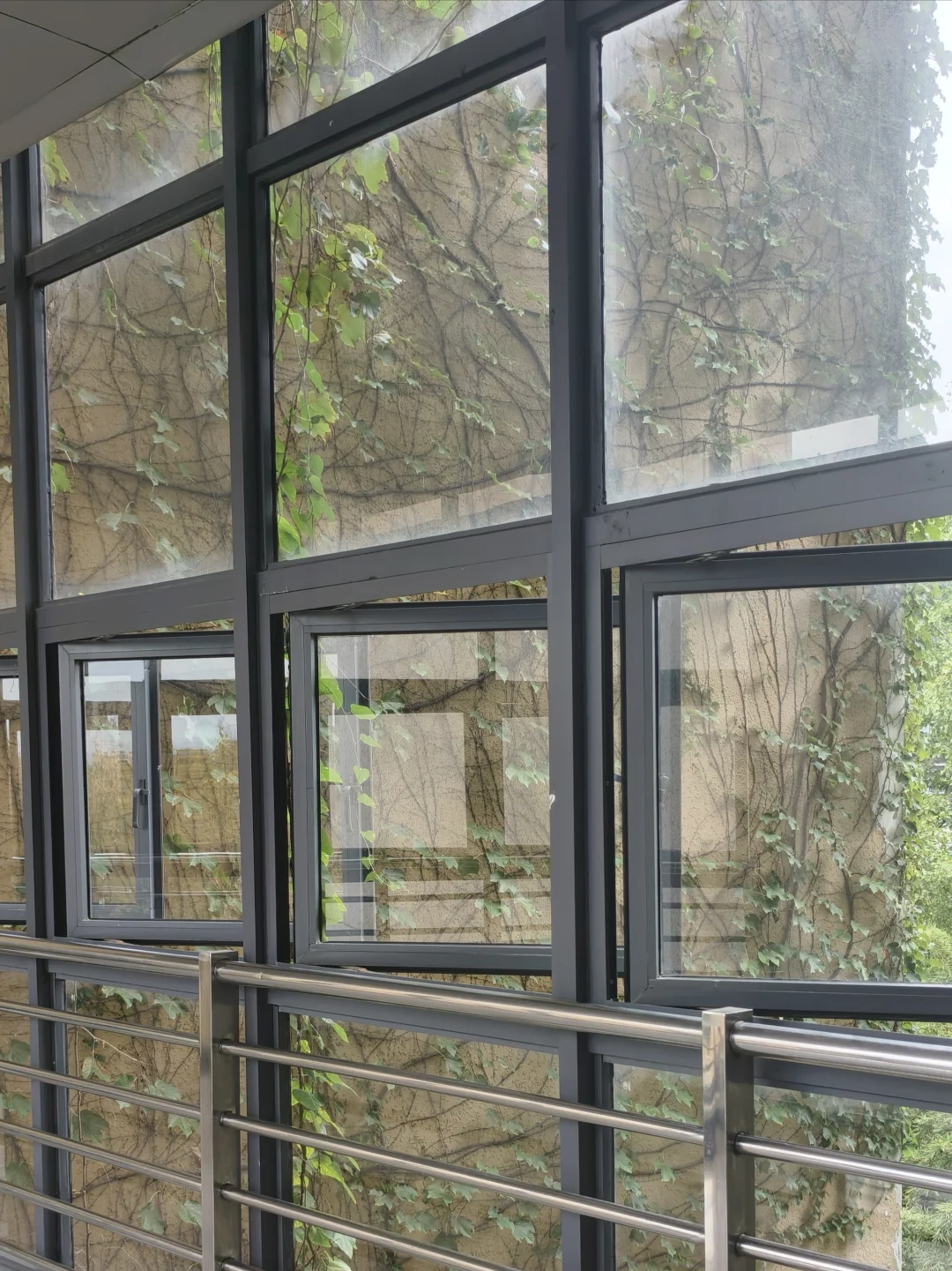 漫卷·象牙塔：华中农业大学 | 图书馆