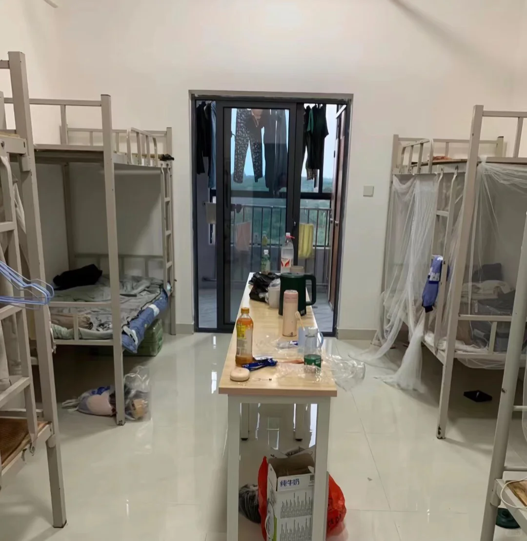 石家庄牛奶厂，能带手机上班，寒假工