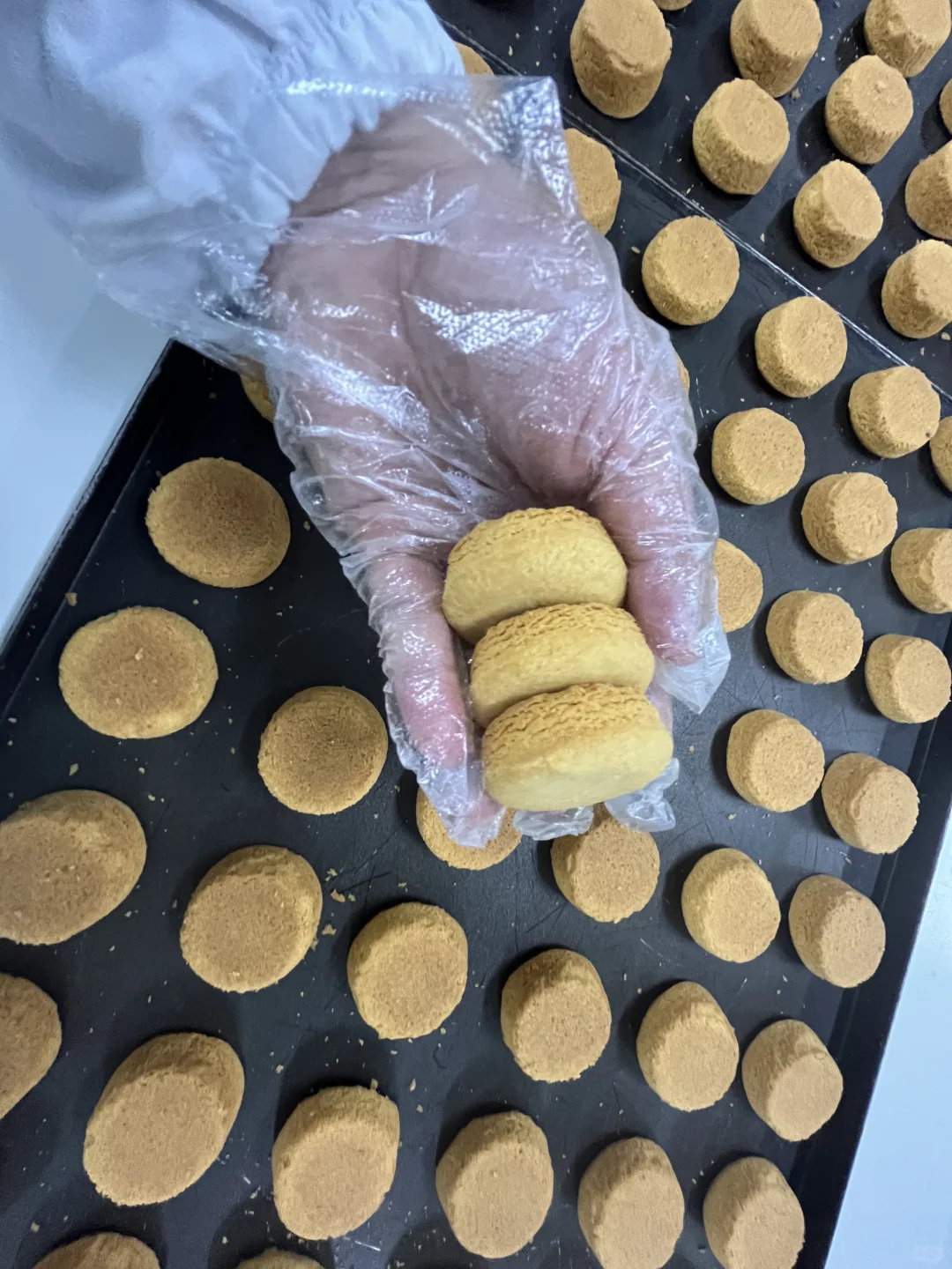 盒马/辛巴卖爆?的曲奇代工厂，被我挖到啦