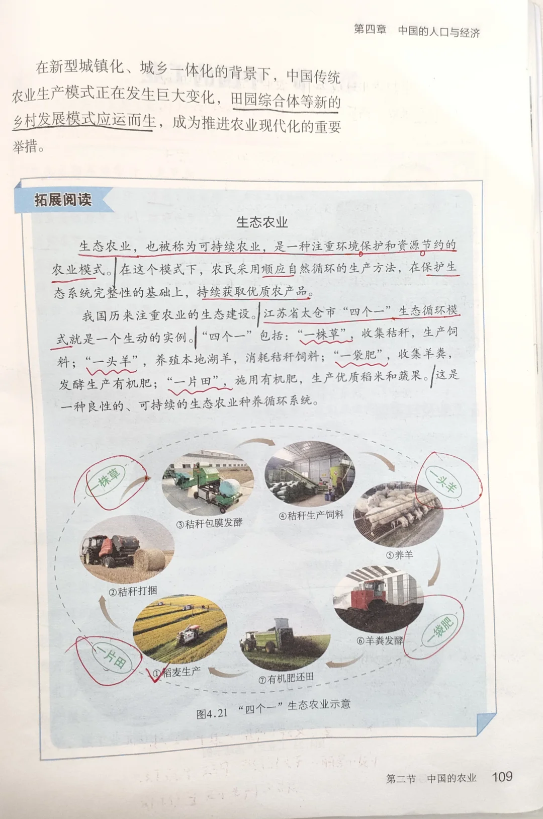 8.4.2中国的农业-商务星球版新版