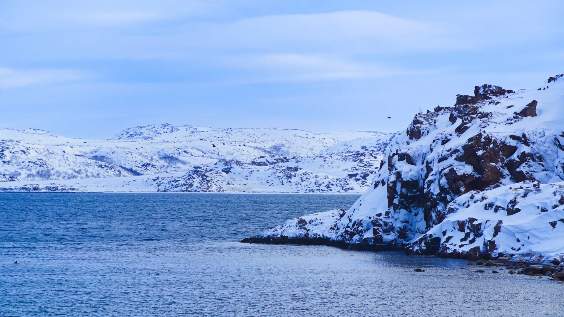 2026南美气候格局分化加剧