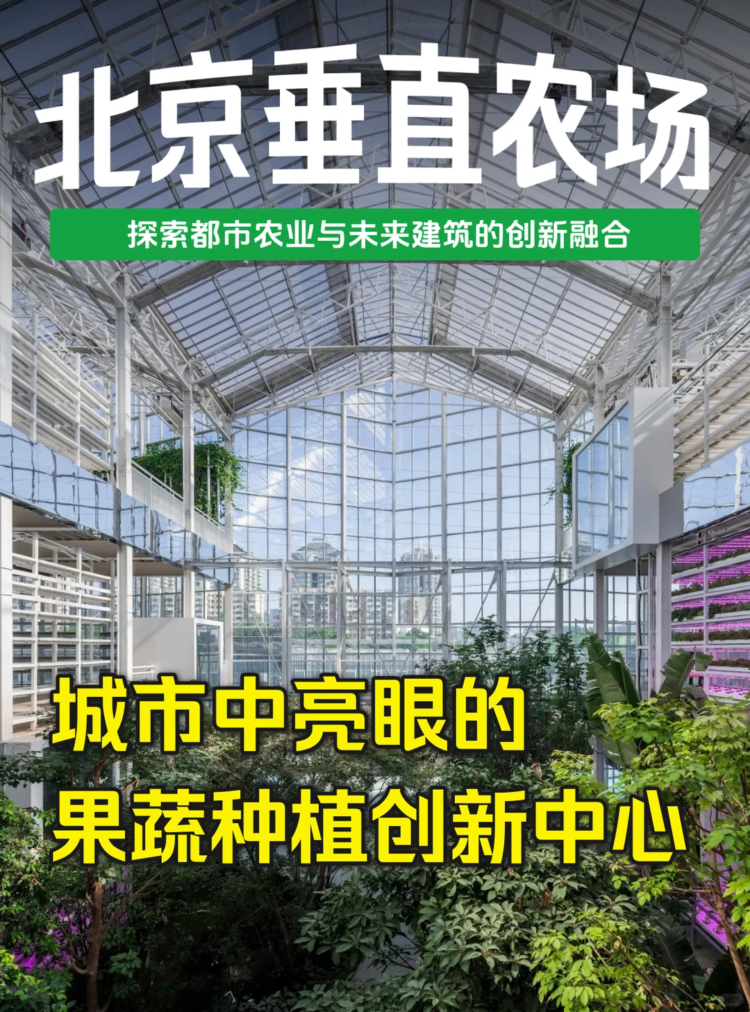 北京垂直农场 | 城市中亮眼的农业创新中心