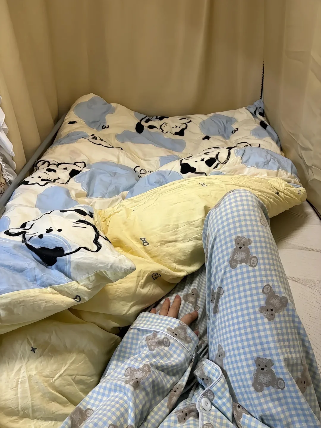 石家庄饮料厂寒假工开始啦，可以喝饮料工作