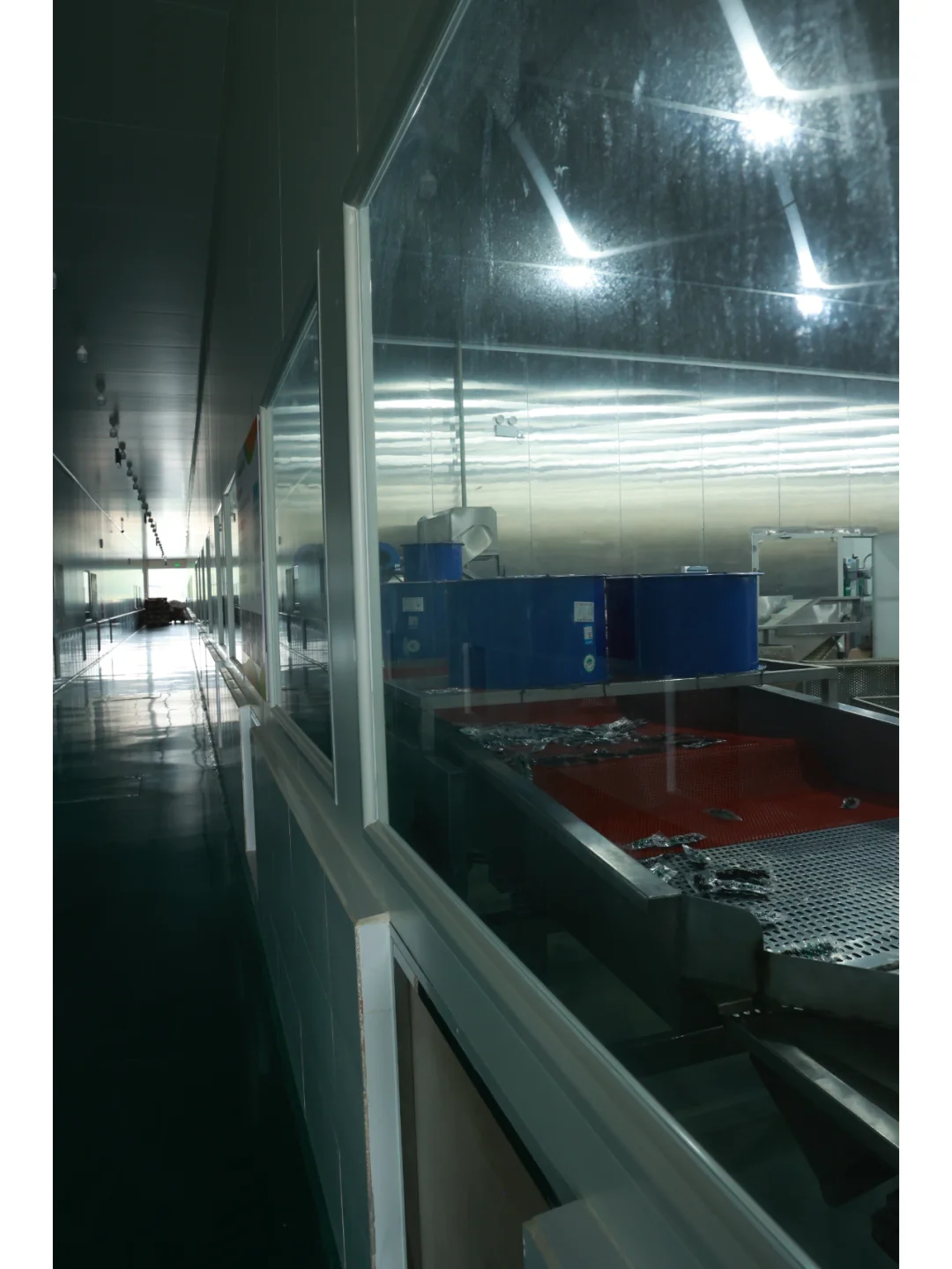 瑞霆食品厂，实拍哦~证明一下咱们是工厂