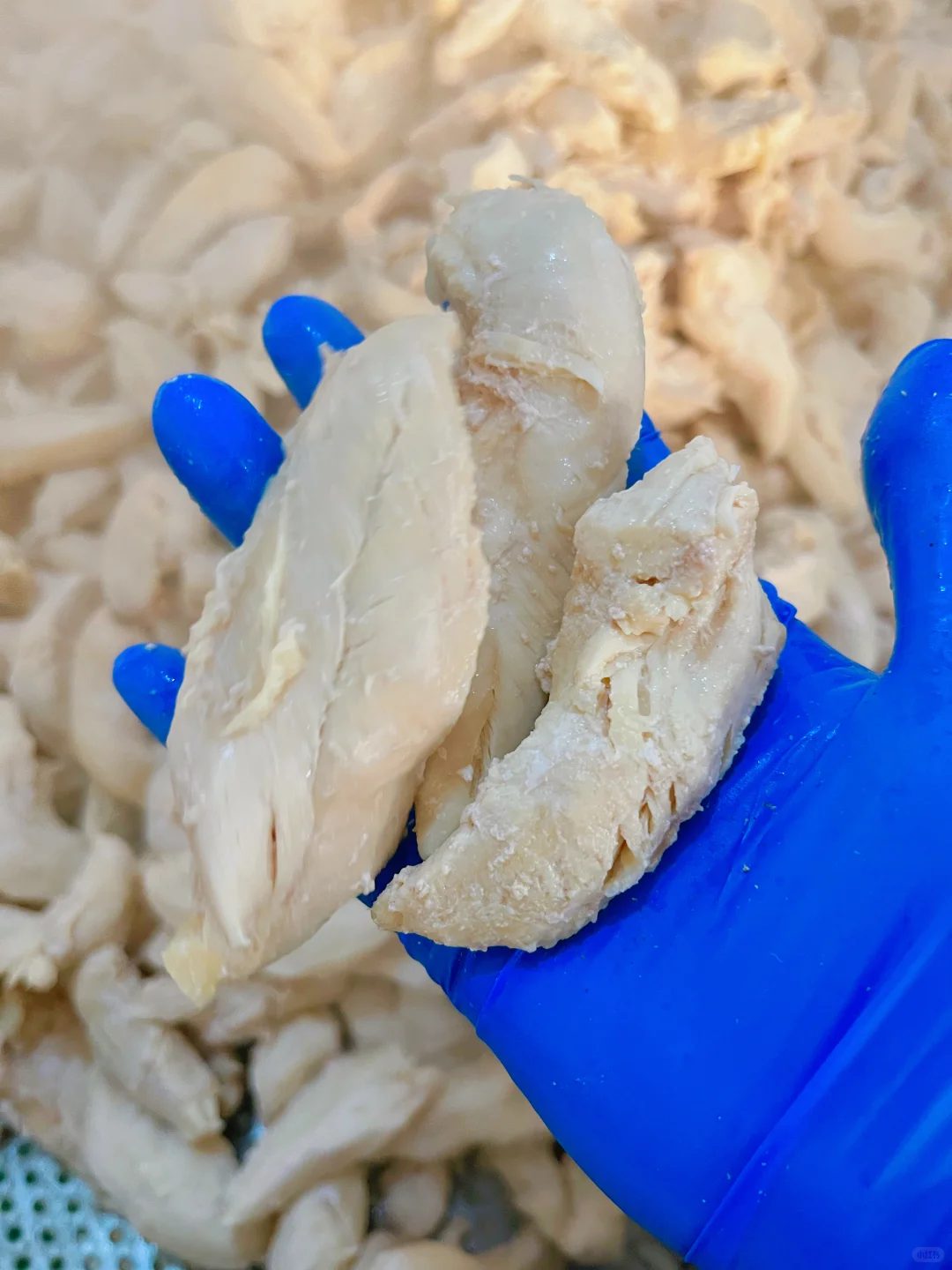 各种宠物湿粮，工厂?小批量定制