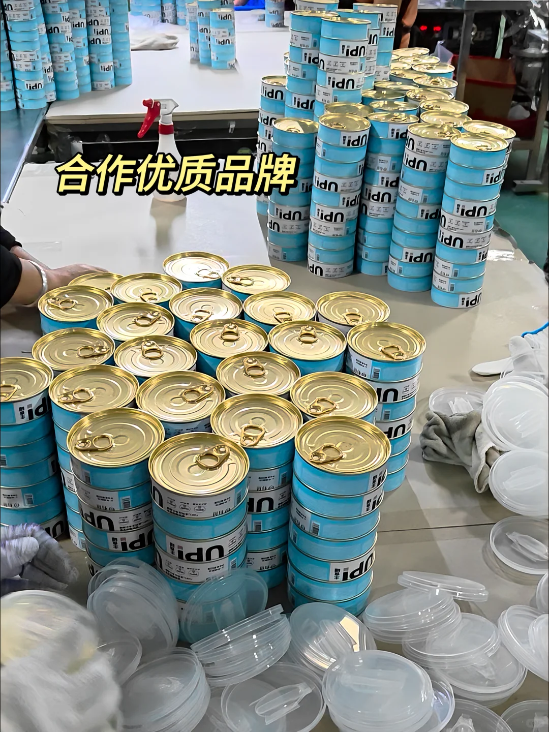 宠物湿粮加工厂 主食罐头、猫条、猫饭等