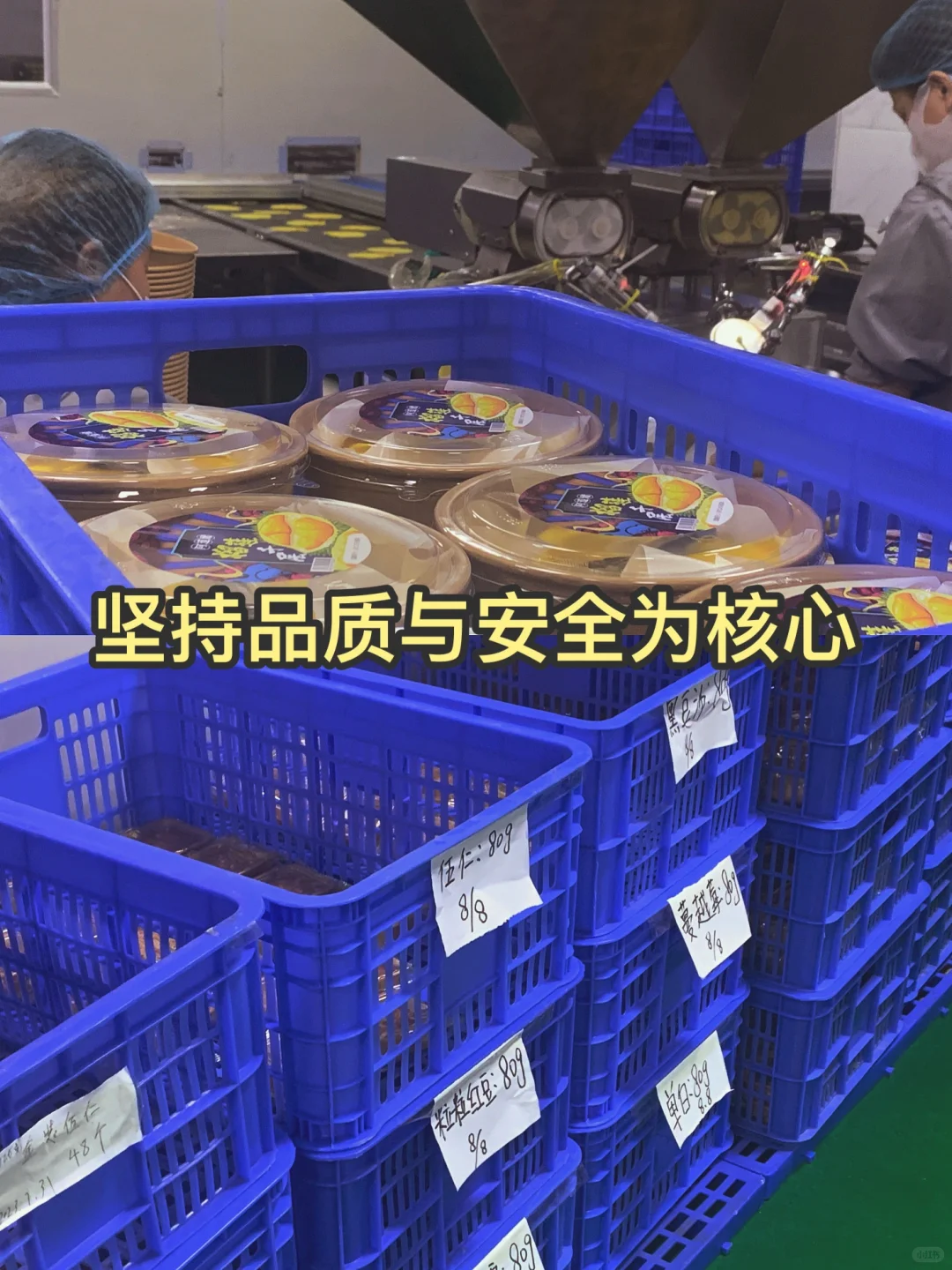 藏在广东佛山的一家食品工厂