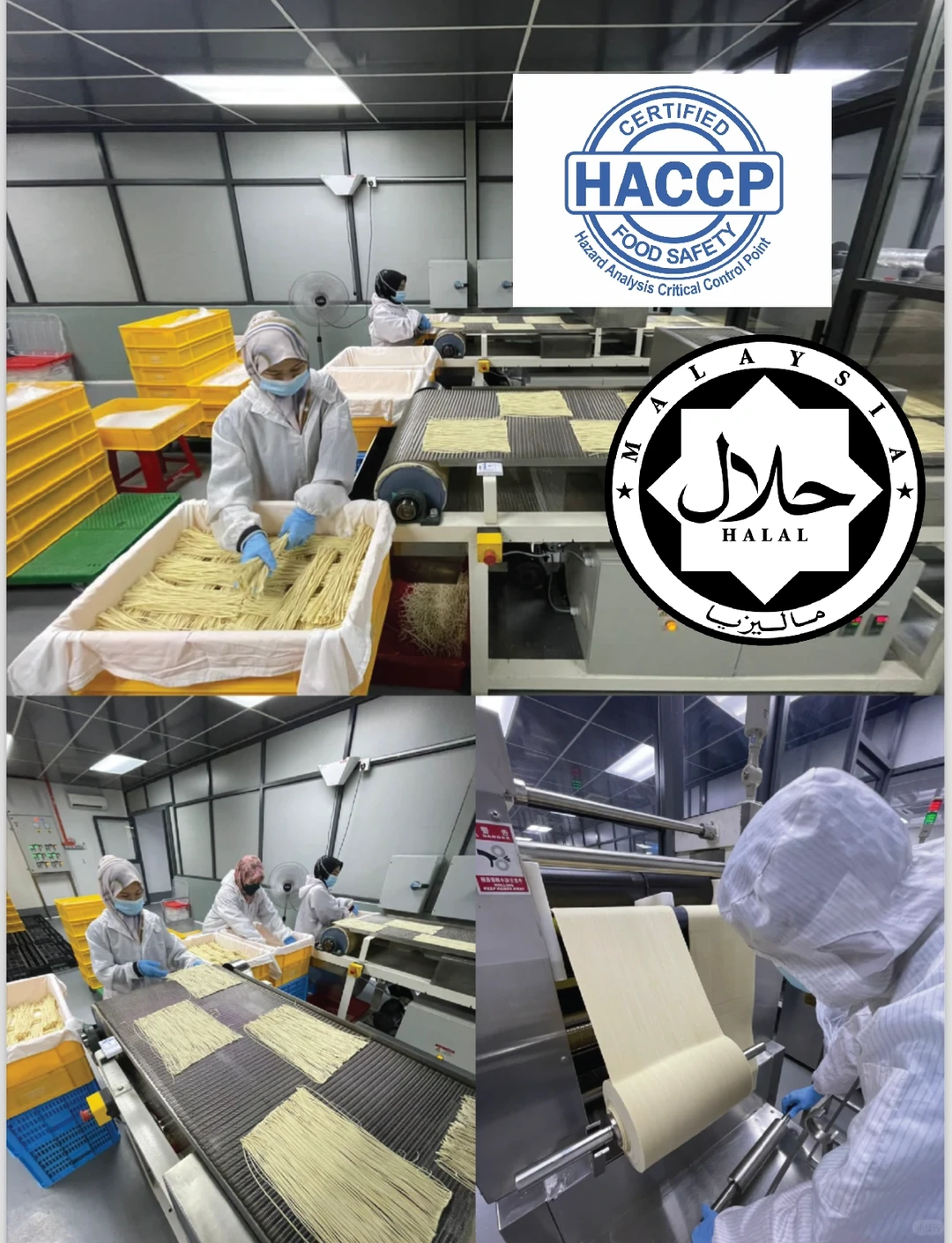 马来西亚 ?? - 面条食品工厂?