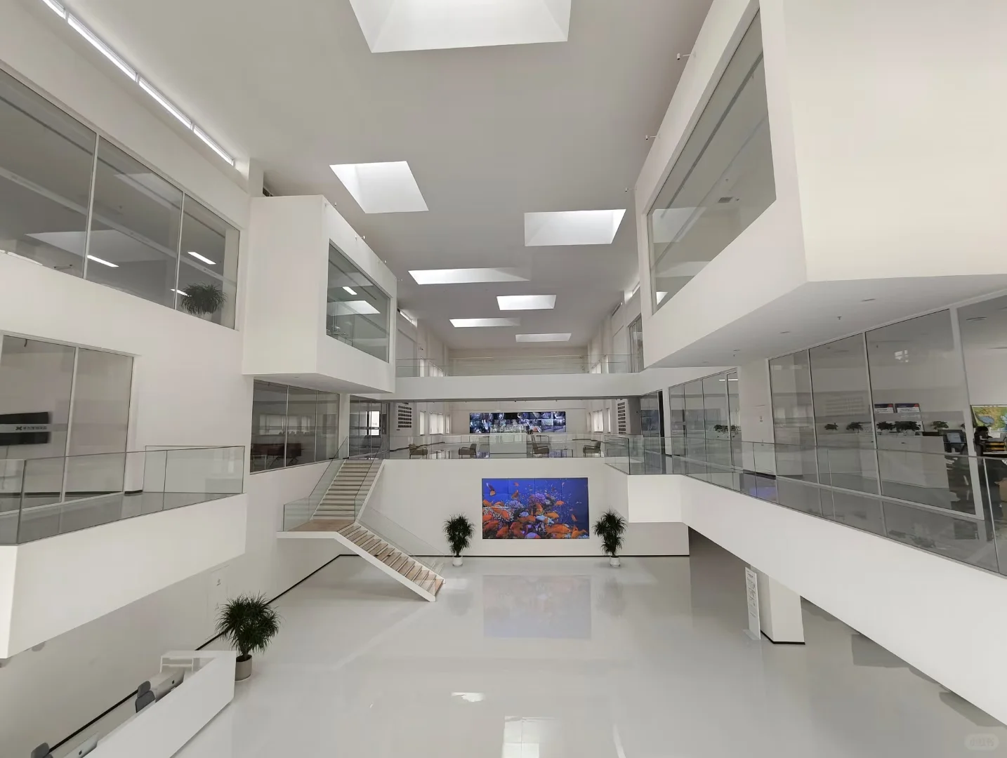 去同学服务的宠物食品厂参观，猜猜是哪里？