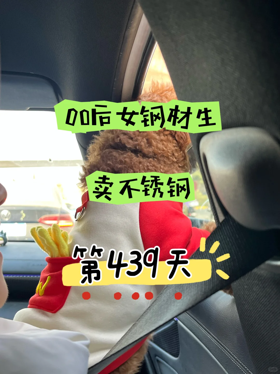 00后毕业女大钢材生卖钢第439天?