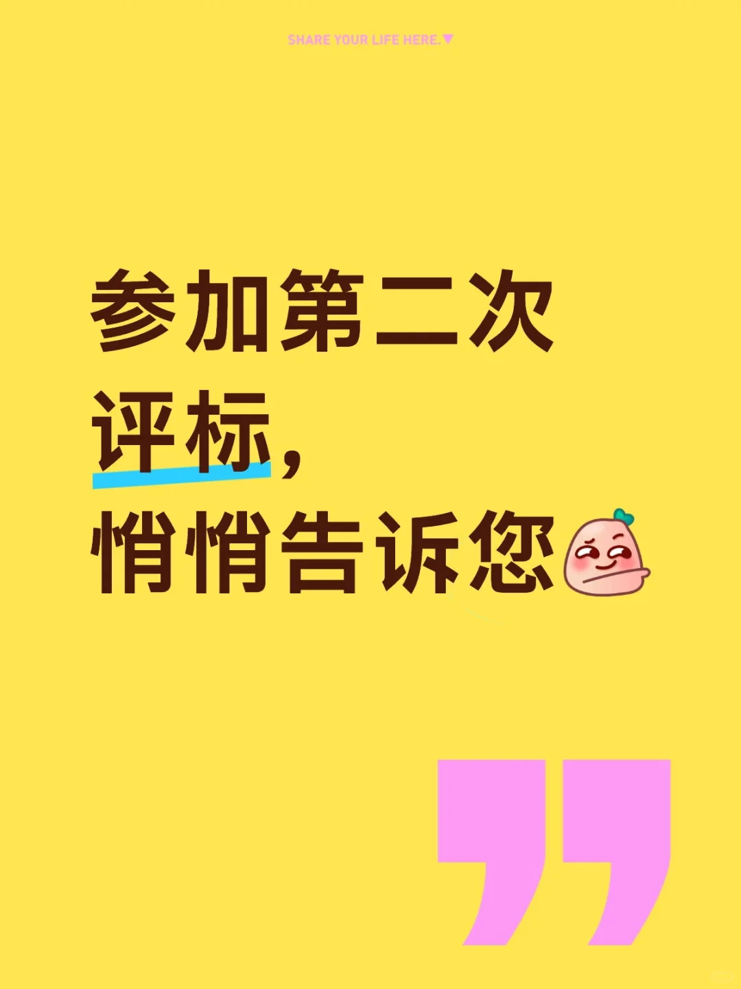 第二次政府采购评标心得体会