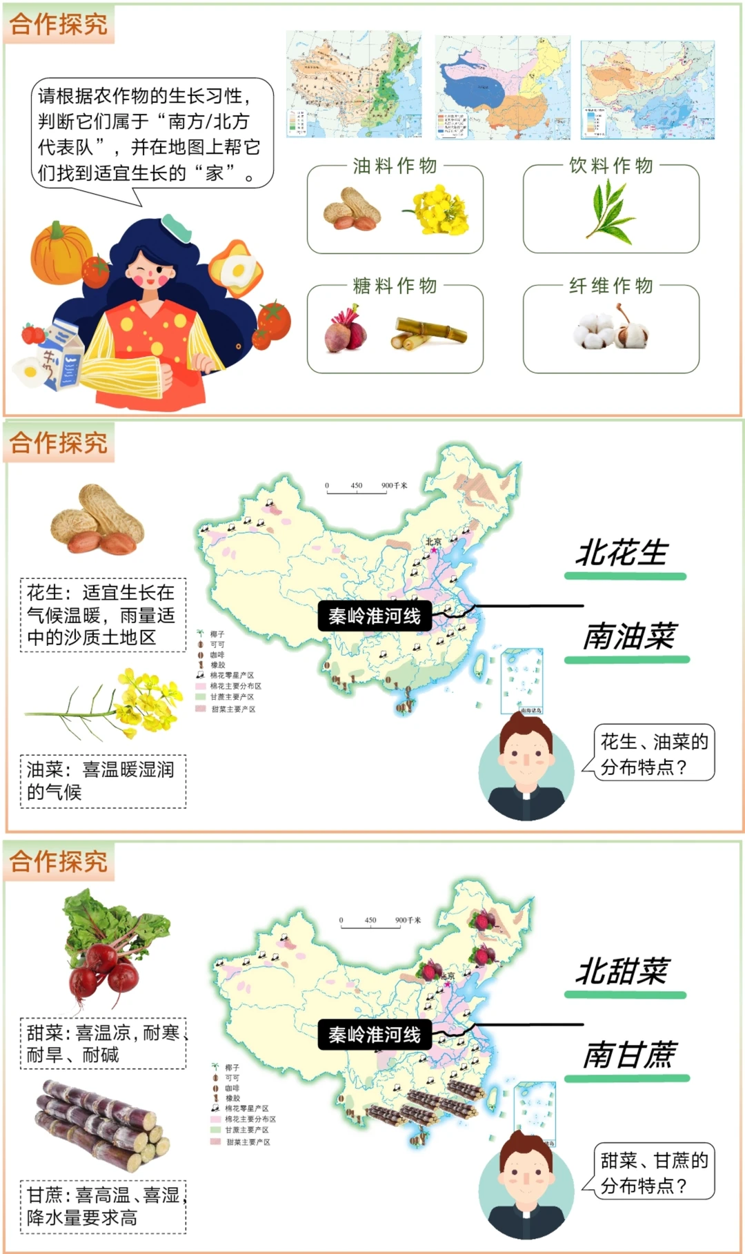 地理宝库｜这样讲中国的农业，学生超期待！