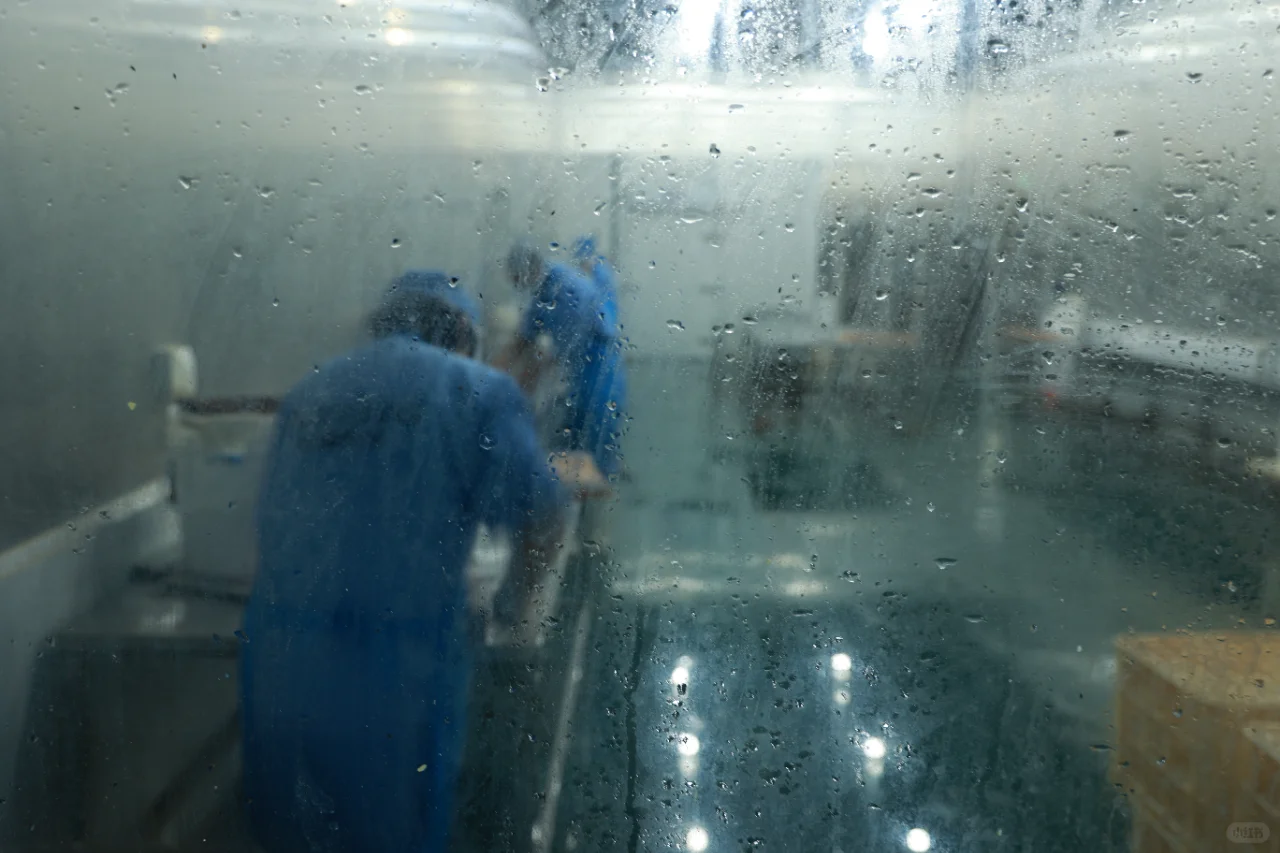 瑞霆食品厂，实拍哦~证明一下咱们是工厂