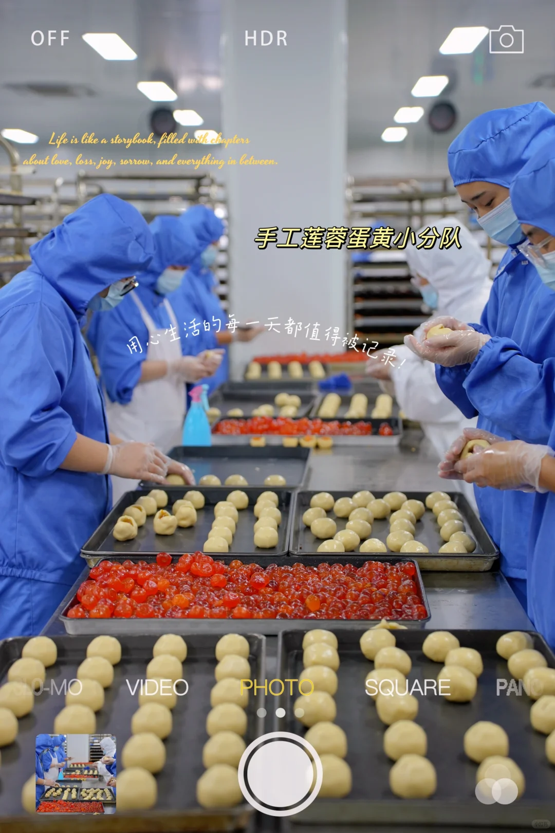 8000平的月饼工厂日常记录?