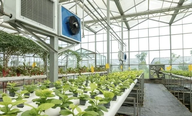 【智驭万穗｜边缘计算重塑现代农业新范式】