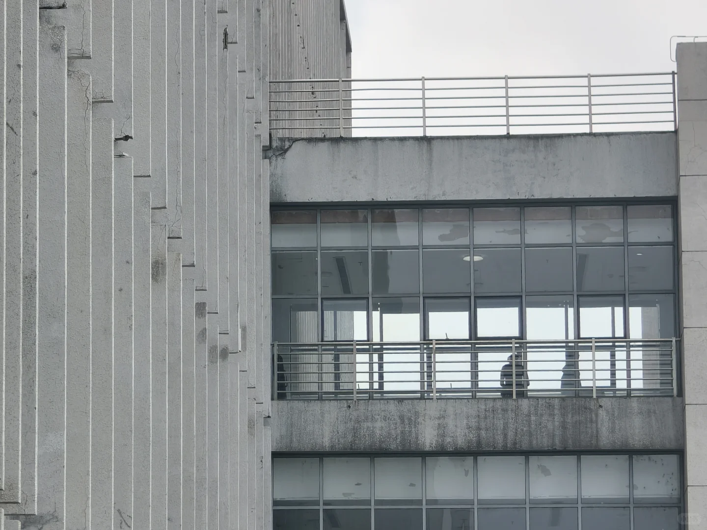 漫卷·象牙塔：华中农业大学 | 图书馆