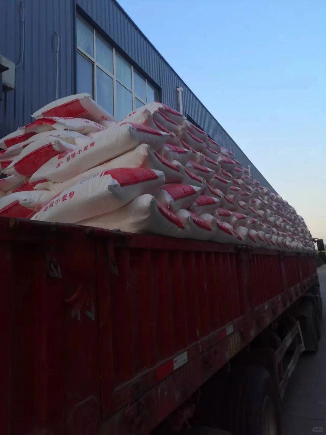 凉皮工厂实拍图