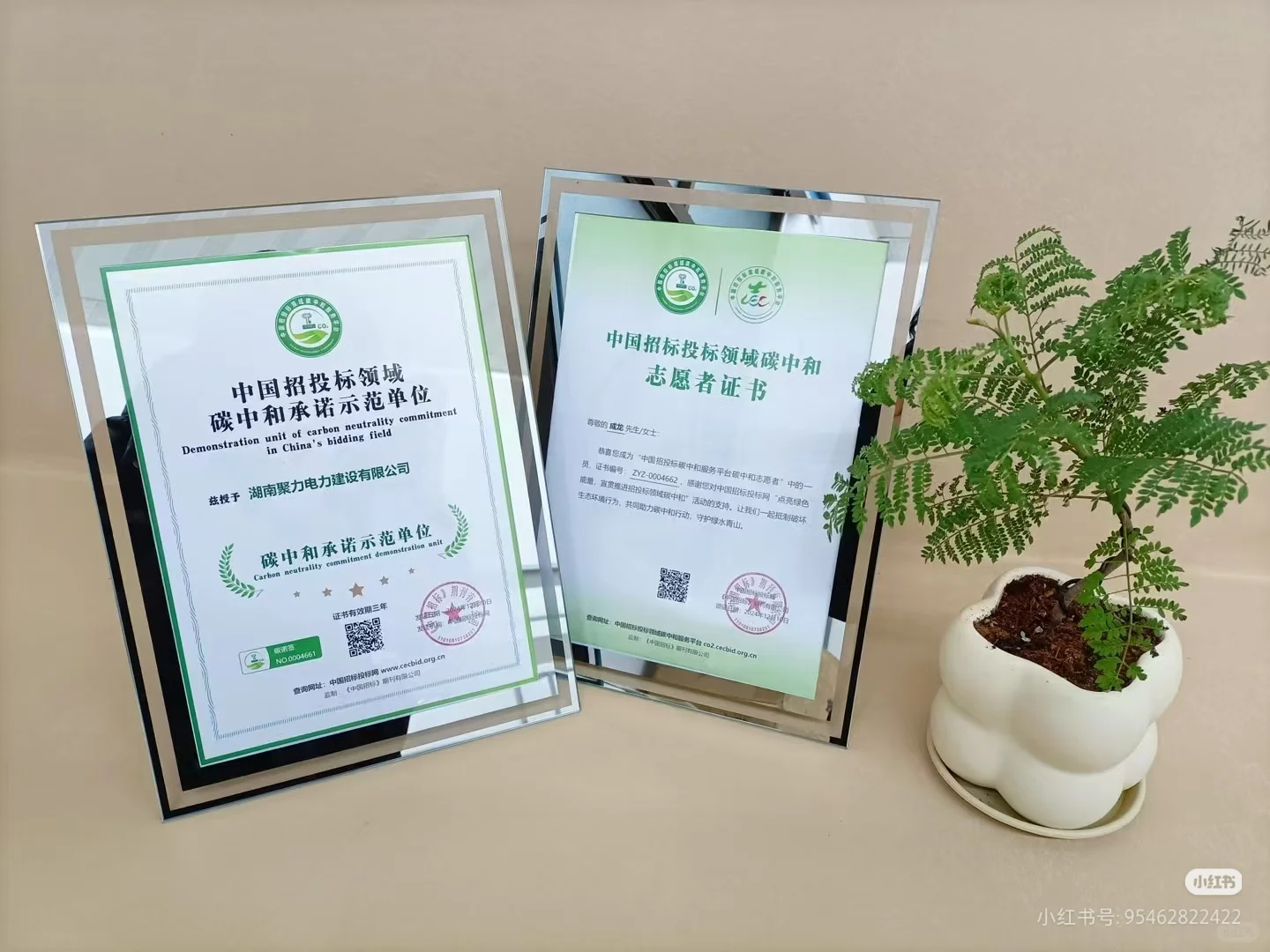 招投标加分证书指的是什么？企业快收藏！