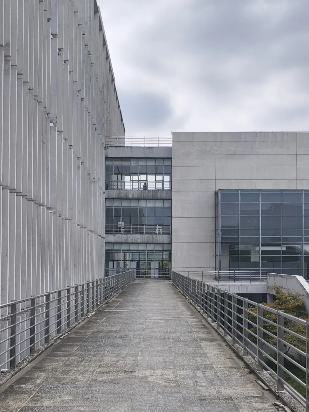 漫卷·象牙塔：华中农业大学 | 图书馆