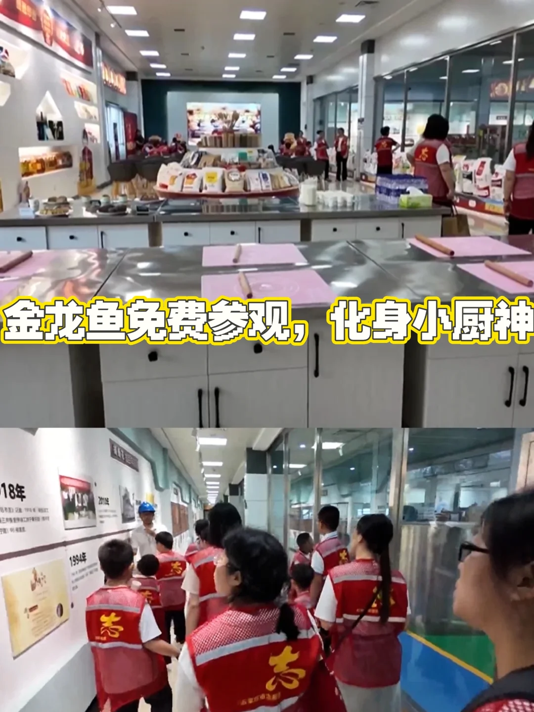 石家庄【金龙鱼大厂免费参观，一起包饺子】