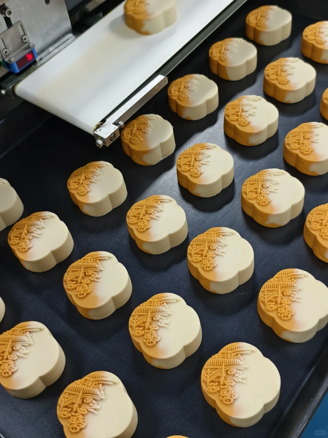 月饼工厂溯源之行