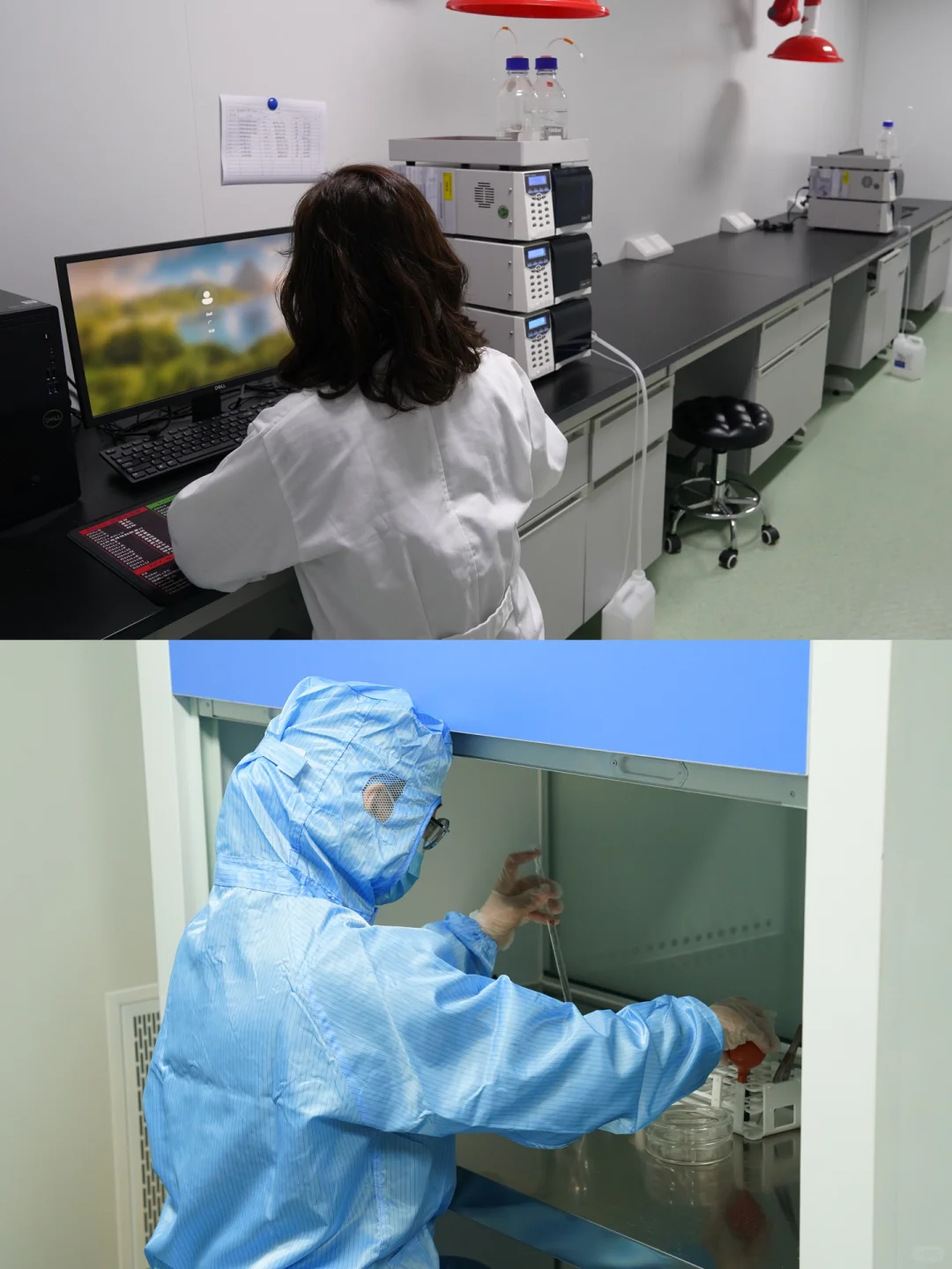 真实的零距离参观大健康食品工厂生产日常✔️